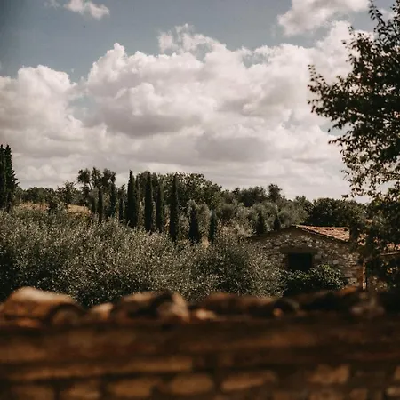 The Lazy Olive - Podere Finerri Holiday home