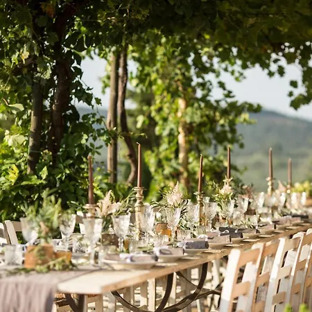 The Lazy Olive - Podere Finerri Feriehus Asciano