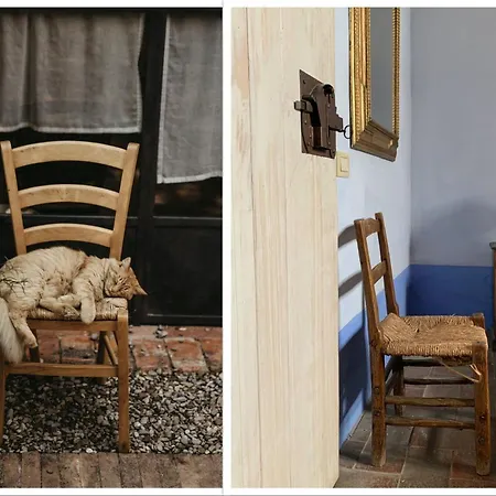 The Lazy Olive - Podere Finerri Feriehus Asciano