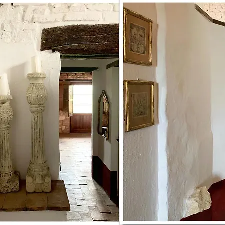 The Lazy Olive - Podere Finerri *