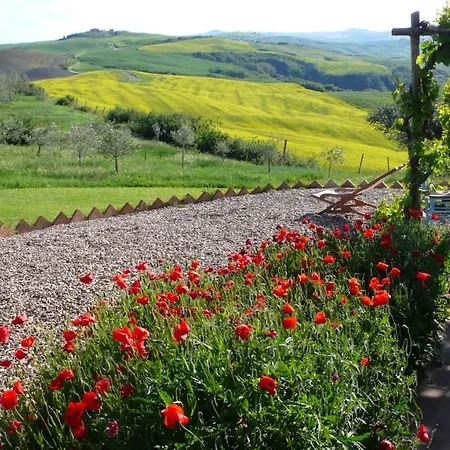Feriehus The Lazy Olive - Podere Finerri *