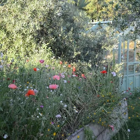 The Lazy Olive - Podere Finerri Holiday home Asciano