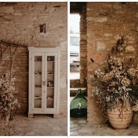 Feriehus The Lazy Olive - Podere Finerri Asciano