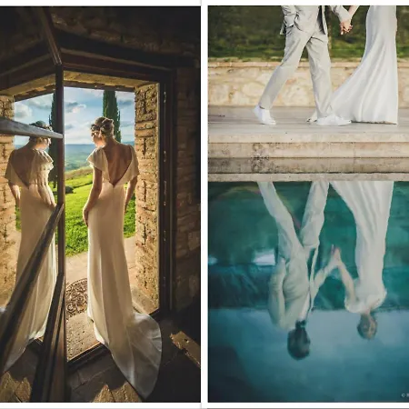 The Lazy Olive - Podere Finerri *