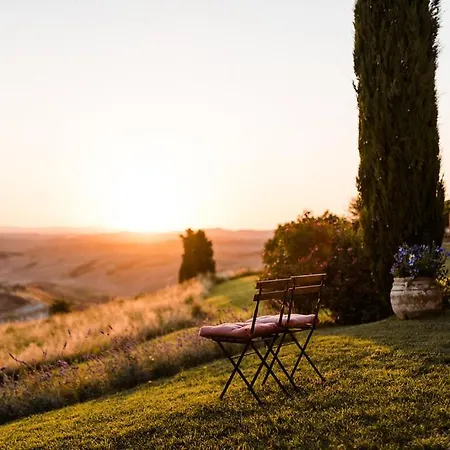 The Lazy Olive - Podere Finerri * Asciano