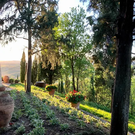 The Lazy Olive - Podere Finerri *