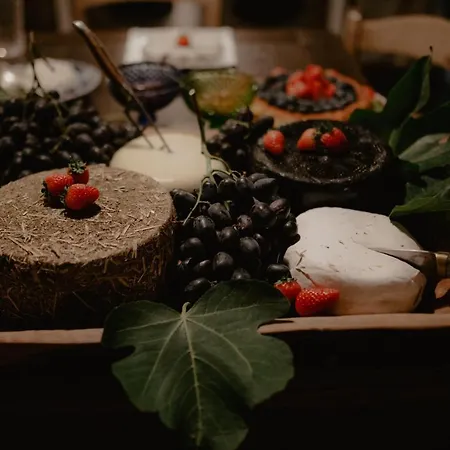 Feriehus The Lazy Olive - Podere Finerri Asciano