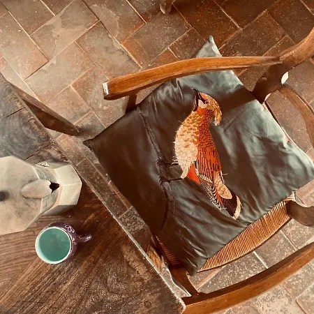 Feriehus The Lazy Olive - Podere Finerri