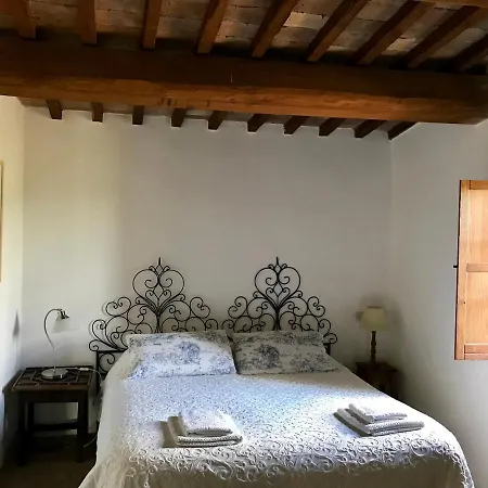 Feriehus The Lazy Olive - Podere Finerri