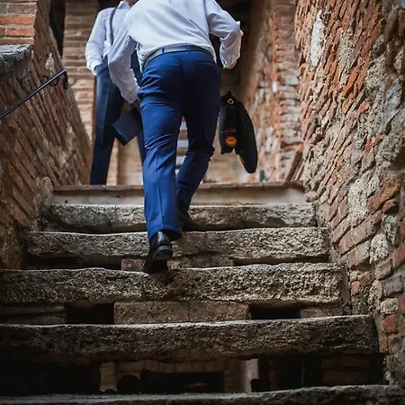 The Lazy Olive - Podere Finerri Feriehus *