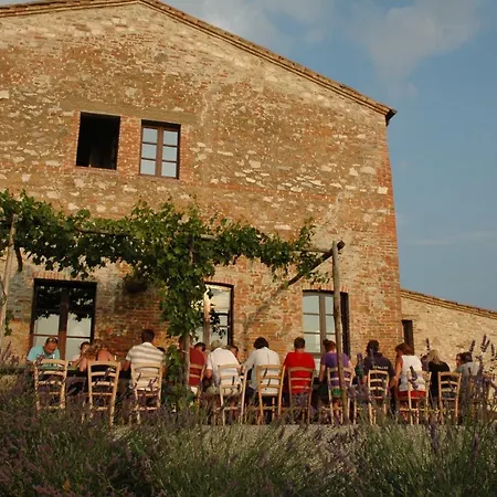 Feriehus The Lazy Olive - Podere Finerri Asciano