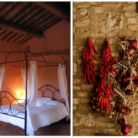 The Lazy Olive - Podere Finerri Feriehus *