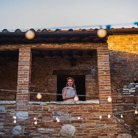 The Lazy Olive - Podere Finerri