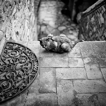 The Lazy Olive - Podere Finerri Feriehus *