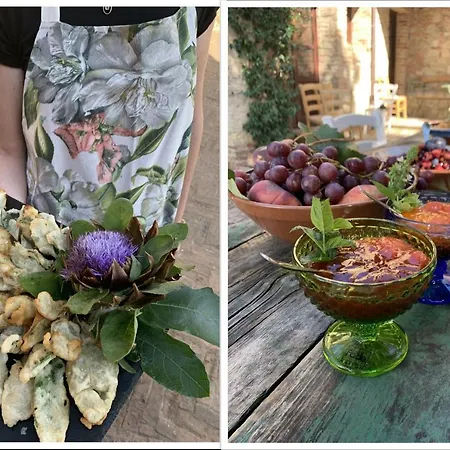 The Lazy Olive - Podere Finerri *