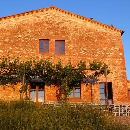 The Lazy Olive - Podere Finerri Feriehus Asciano