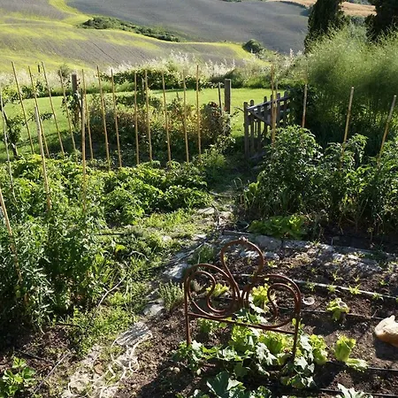 Feriehus The Lazy Olive - Podere Finerri *