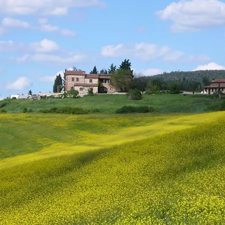 Feriehus The Lazy Olive - Podere Finerri *
