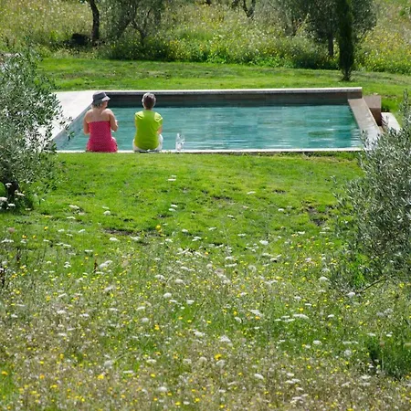 The Lazy Olive - Podere Finerri Holiday home Asciano