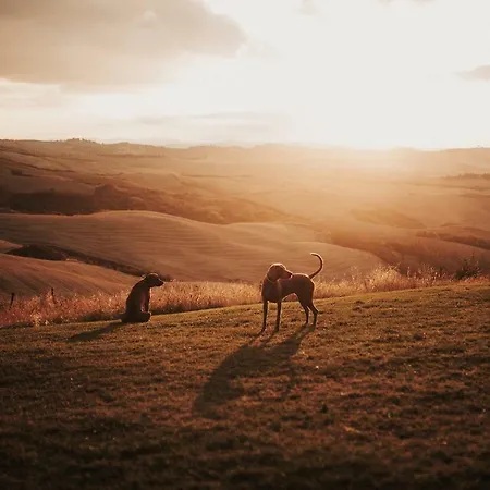 The Lazy Olive - Podere Finerri Feriehus *