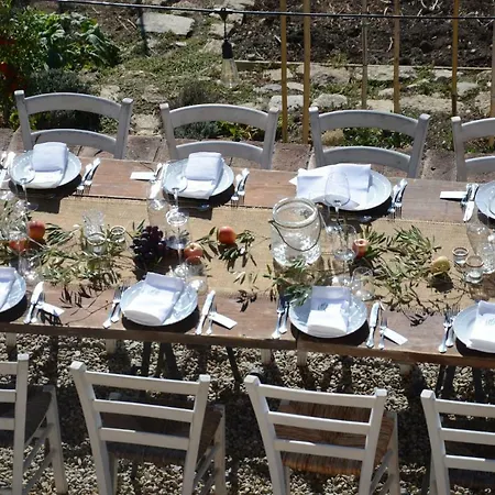 The Lazy Olive - Podere Finerri Asciano