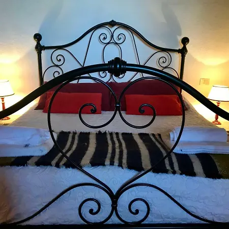 The Lazy Olive - Podere Finerri