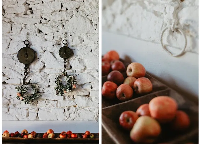 The Lazy Olive - Podere Finerri בית נופש