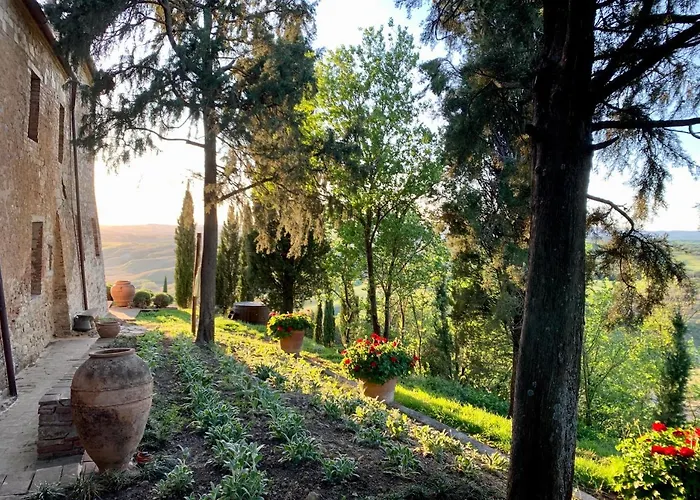 The Lazy Olive - Podere Finerri *