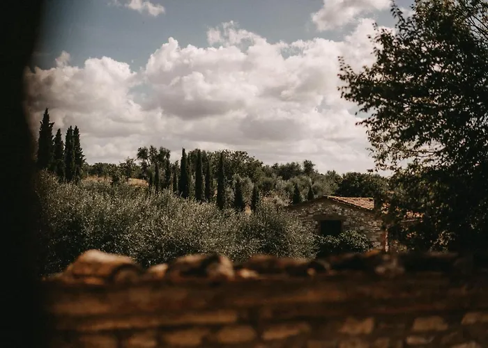 The Lazy Olive - Podere Finerri בית נופש