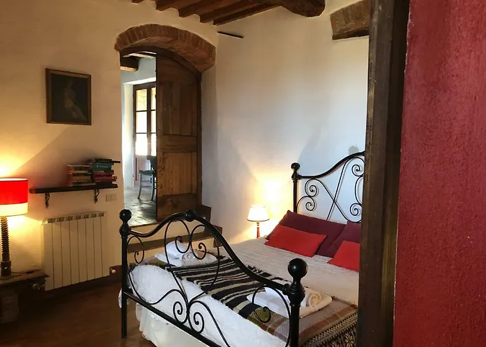 The Lazy Olive - Podere Finerri